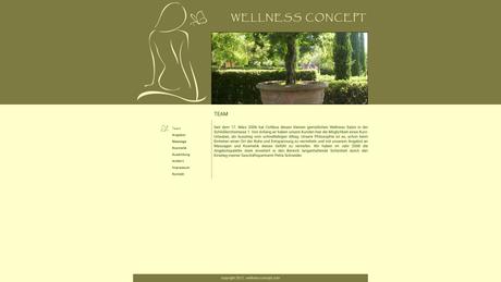 WELLNESS CONCEPT
